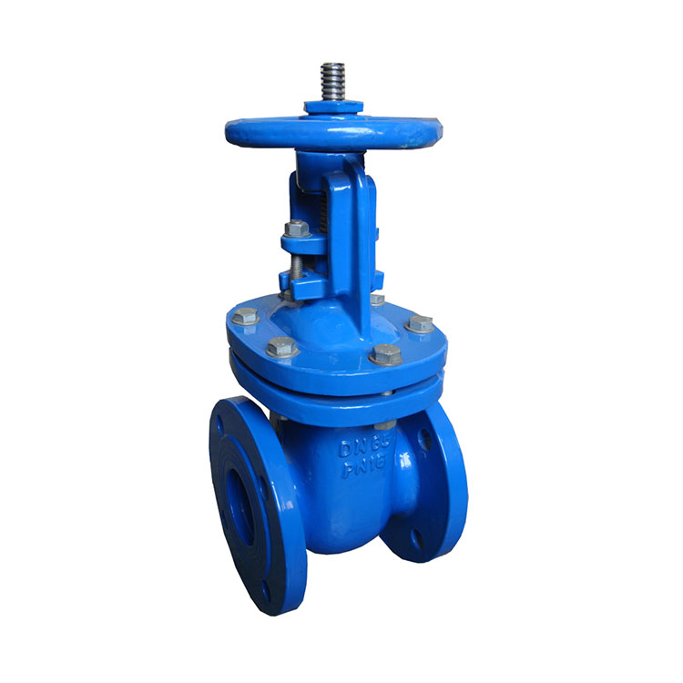 Rising Stem Brass Seat Gate Valve